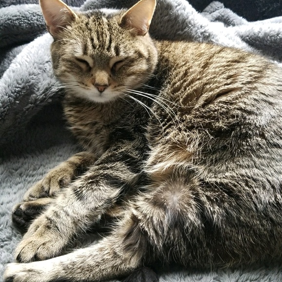 msoja